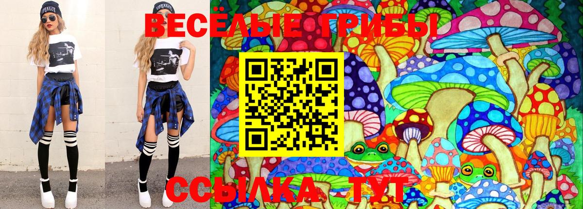 Моздок  Галлюциногенные грибы Psilocybe  цены наркотик  Вход с VPN 